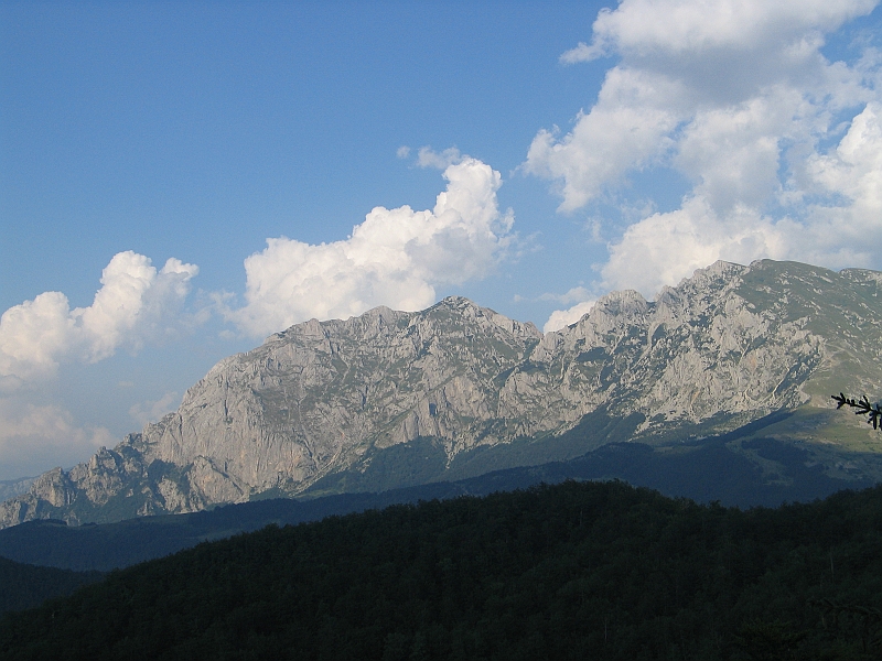 Original image
